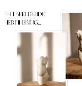 Schermafbeelding 2024-12-18 102607